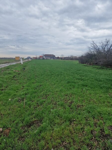 Fundulea Teren 1000 mp   25 min Bucuresti Deschidere 55m