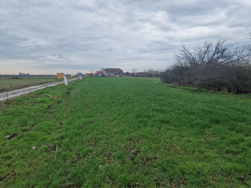 Fundulea Teren 1000 mp   25 min Bucuresti Deschidere 55m